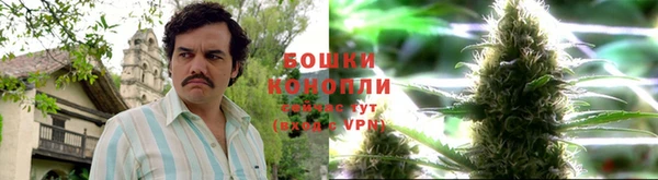 шишки Алзамай