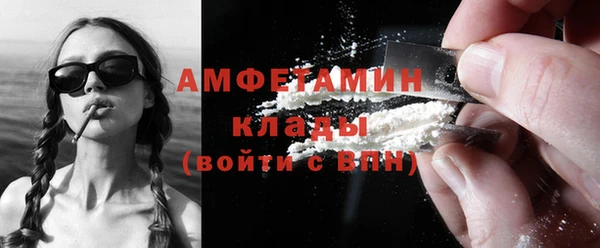 мет Алексин