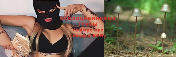 шишки Алзамай
