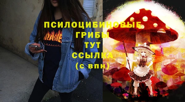 соль ск Алексеевка