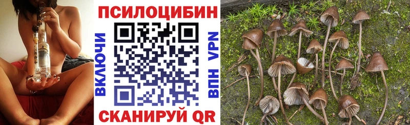Галлюциногенные грибы прущие грибы  Сорочинск 